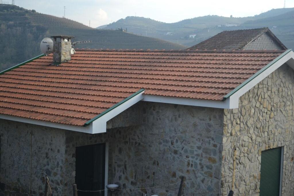 Quinta De Sao Domingos House Villa Peso da Régua Exteriör bild